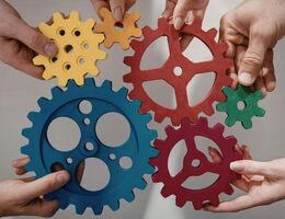 Interdisciplinary Studies