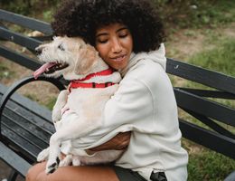 Woman sits on bench, hugging happy dog