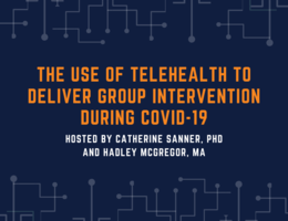 Webinar: The Use of Telehealth to Deliver Group Intervention During COVID-19
