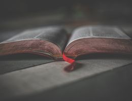 Bible open on table